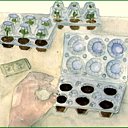 Une mini-serre de fortune