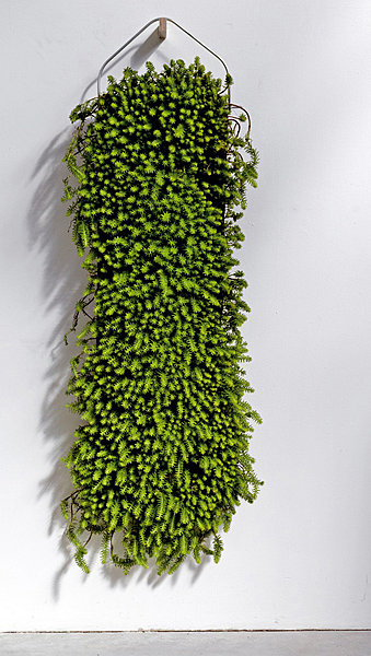 6- Jardin poétique
Nature Individuelle est une collection de pièces conçues pour l’intérieur comme pour le jardin,  sortie de l’imagination de Patrick Nadeau  qui lie  le mobilier et le végétal, et fait coexister des matières naturelles à d’autres artific