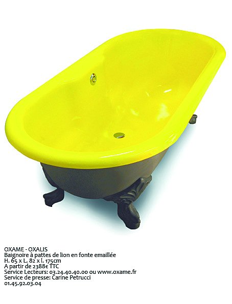 Oxalis, version fluo