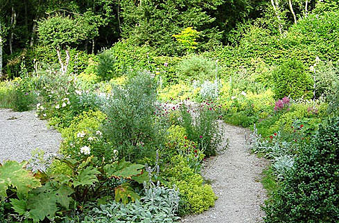 Un jardin revitalisé
