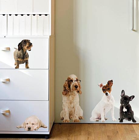 Stickers muraux, Nouvelles Images