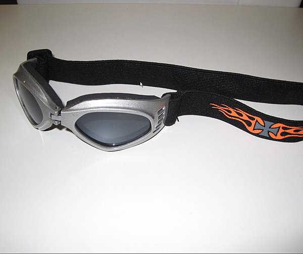 Lunettes de soleil pour chien