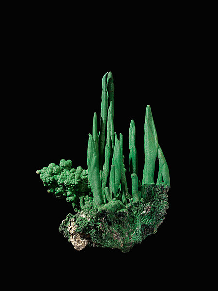 Malachite stalactiforme, le spécimen le plus esthétique extrait ces dernières      
années  - 34 x 23 cm –18/20.000€