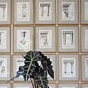 Gravures XVIII° d'éléments d'architecture