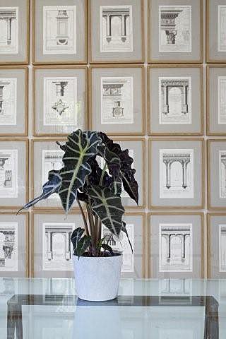 Gravures XVIII° d'éléments d'architecture