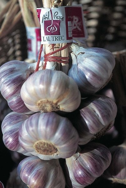 Conditionné en grappes