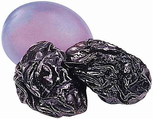 Et la prune devient pruneau !