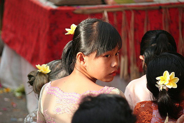 Le petit plus de la fleur de frangipanier dans la noire chevelure