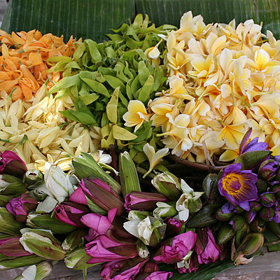 Bouquet de pétales en offrande Bouquet de pétales en offrande