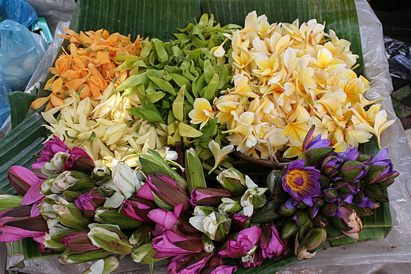 Bouquet de pétales en offrande