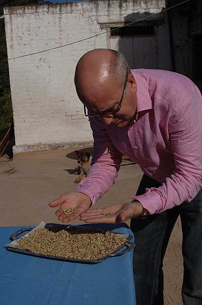 Le caféologue de la maison Verlet