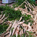 Les panais du marché