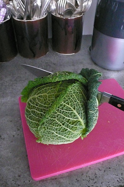 Le chou vert à débiter