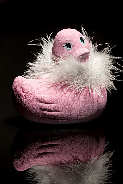 Le Canard de la Saint-Valentin