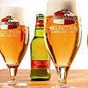 Une bonne façon de découvrir les étapes de fabrication de la bière