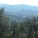 Paysage valonnés et oliveraies