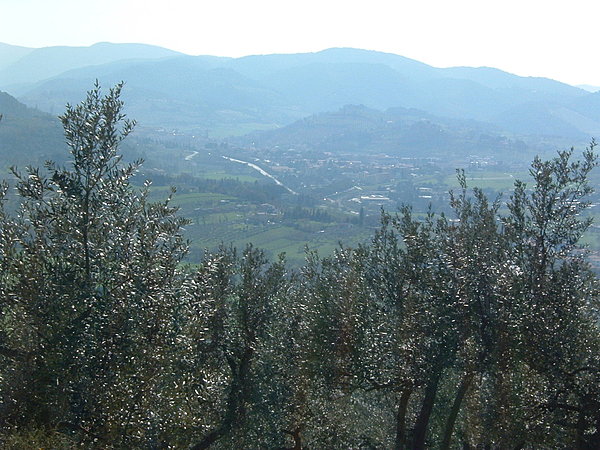 Paysage valonnés et oliveraies