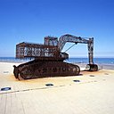 Grue par Wim Delvoye