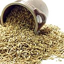 L'avoine, véritable corne d'abondance !