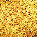 Cerneaux de noix de Charente