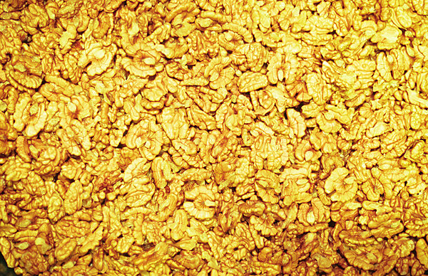 Cerneaux de noix de Charente