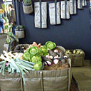 Au fond  les pots /sacs suspendus Bacsac