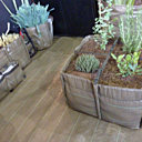 Bacsquare de 4 carrés avec des plantes