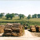 Résidus de coupes, bois d’éclaircie et arbres après la tempête servent à réaliser le charbon de bois