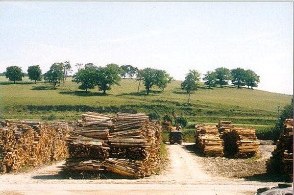 Résidus de coupes, bois d’éclaircie et arbres après la tempête servent à réaliser le charbon de bois