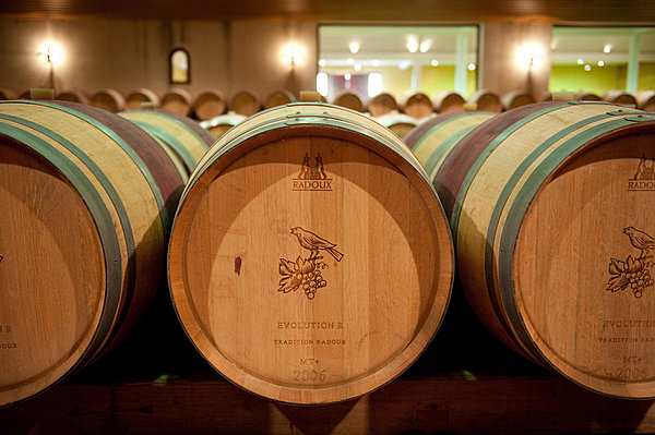 Un vin élevé en fûts de chêne dans le pur respect des traditions