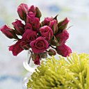 Mademoiselle Rose rencontra le Sieur Chrysanthème...