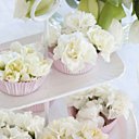 Les oeillets blancs deviennent gourmands dans les caissettes de patissier