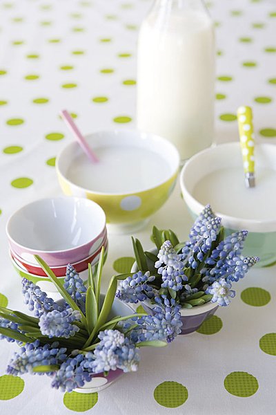 Quelques brins de muscaris dès le petit déjeuner