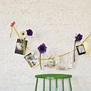 Pense bête bucolique