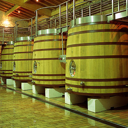 Le cuvier du Clos des Jacobins