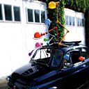 La famille Jieldé a fait le tour du monde !