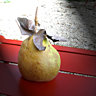 La poire, fruit des dieux