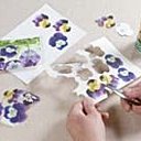 8- Réaliser des fleurs en serviette en papier