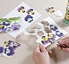 8- Réaliser des fleurs en serviette en papier