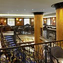 L'éclairage se fait tendre à travers les dahlias