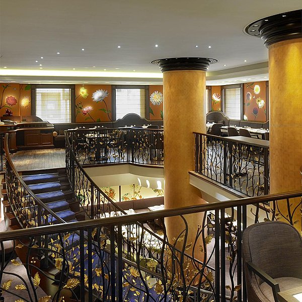 L'éclairage se fait tendre à travers les dahlias