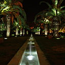 Balade dans les jardins de nuit, entre palmiers et fontaines