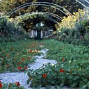 Un jardin de 2 hectares fleuri toute l'année