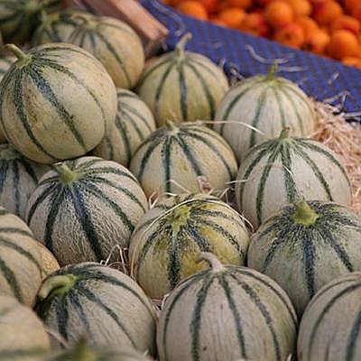 Le melon, fruit d'été par excellence