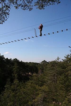 Découverte de l'accrobranche