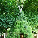 Tipie selon Alexis Tricoire