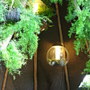 Entrez dans la tente