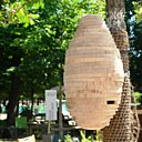 Le retour des ruches à Paris