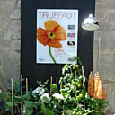 Autre groupe actif du jardin, Truffaut
