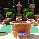 Pas de jardin sans terre cuite